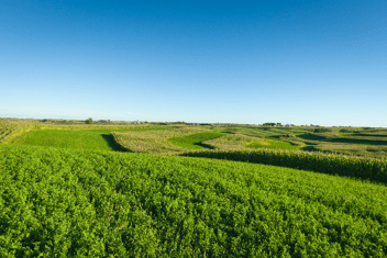 image81-177